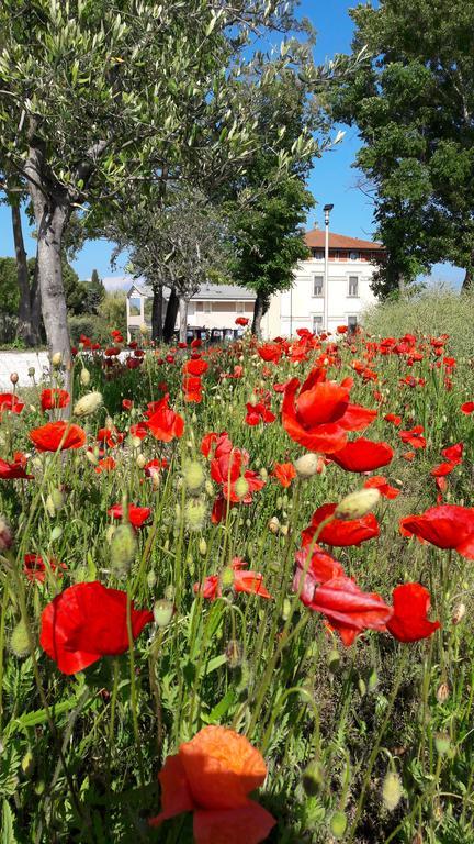 Villaggio Esmera Desenzano del Garda Exteriör bild